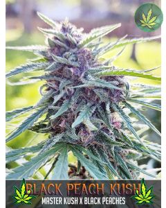 Black Peach Kush