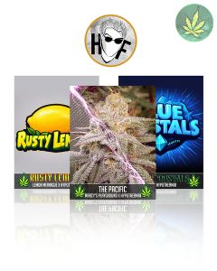Hemp's Spooktober Bundle
