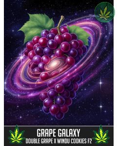 Grape Galaxy