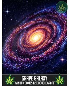 Grape Galaxy