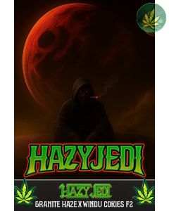 Hazy Jedi