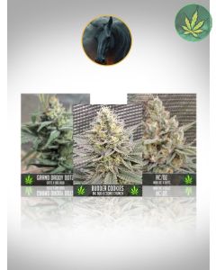 Nighthorse Select Bundle