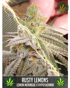 Rusty Lemons