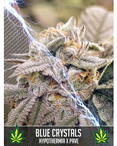 Blue Crystals