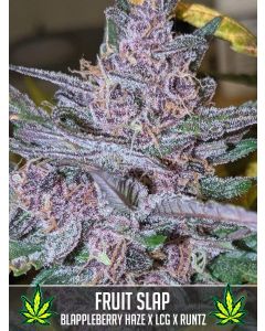 Fruit Slap