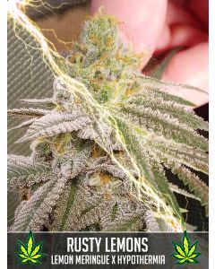 Rusty Lemons