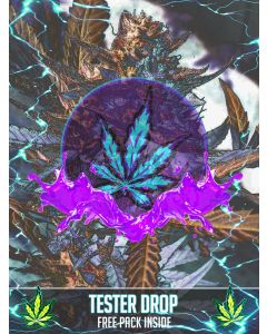 Sol Duc Spirit (Test Drop)