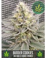 Budder Cookies