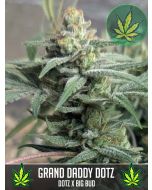Grand Daddy Dotz