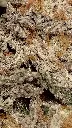 IMG_20260805_002447388.webp