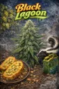 Black Lagoon